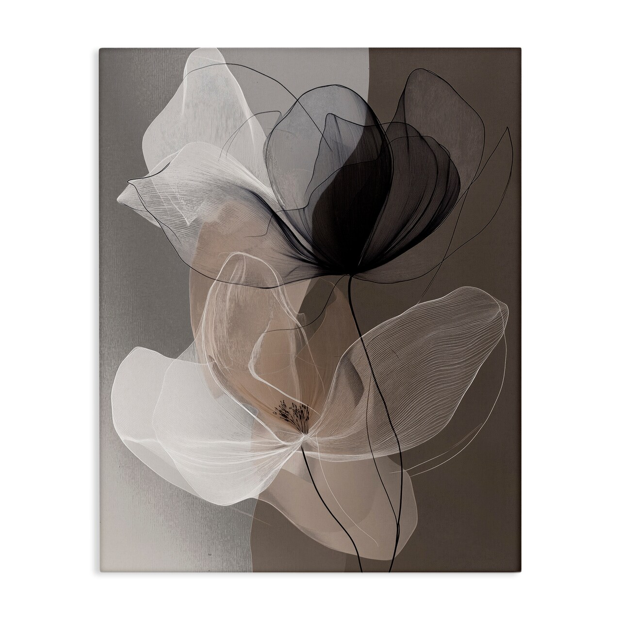 Stupell Industries Black & Brown Gossamer Flowers Canvas By Annabelle Hall